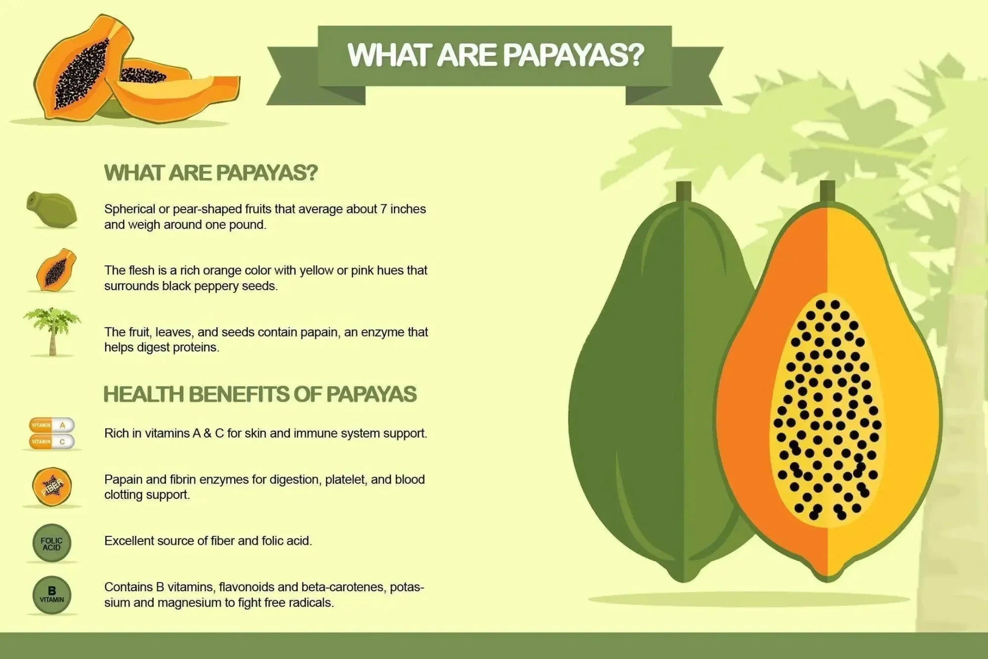 The Best Papaya Spring Recipes to Try Out This Year | Herbal Goodness | Herbal Goodness