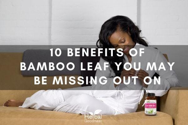 10 Benefits of Bamboo Leaf You May Be Missing Out On | Herbal Goodness