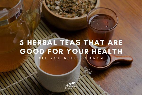 5 Herbal Teas That Are Good For Your Sleep | Herbal Goodness