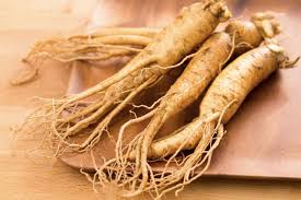 Ginseng roots with slender bodies and branching rootlets for heart health benefits