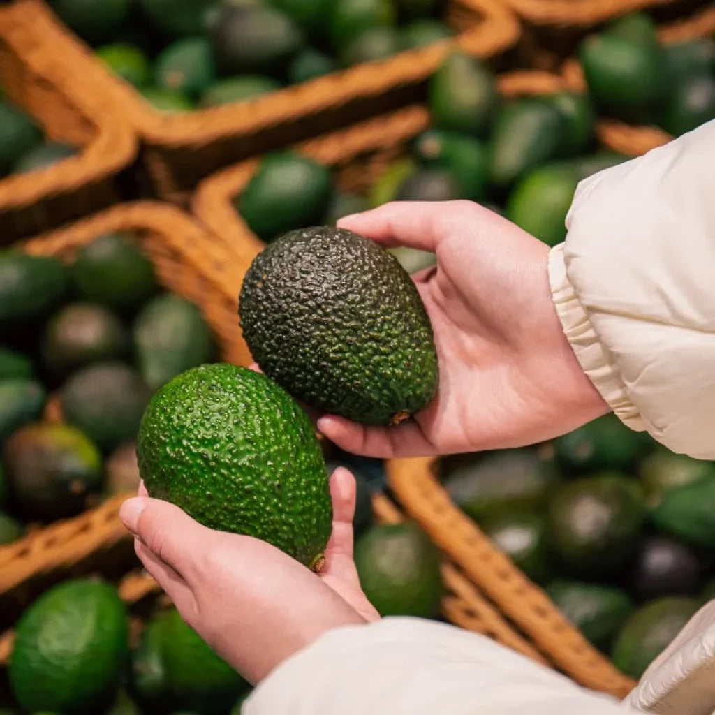 How to Unlock the Health Benefits of Avocado Leaf: A Natural Remedy for Your Wellness Routine