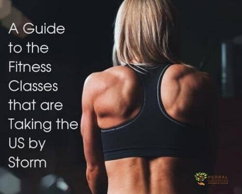 A Guide to the Fitness Classes that are Taking the US by Storm | Herbal Goodness
