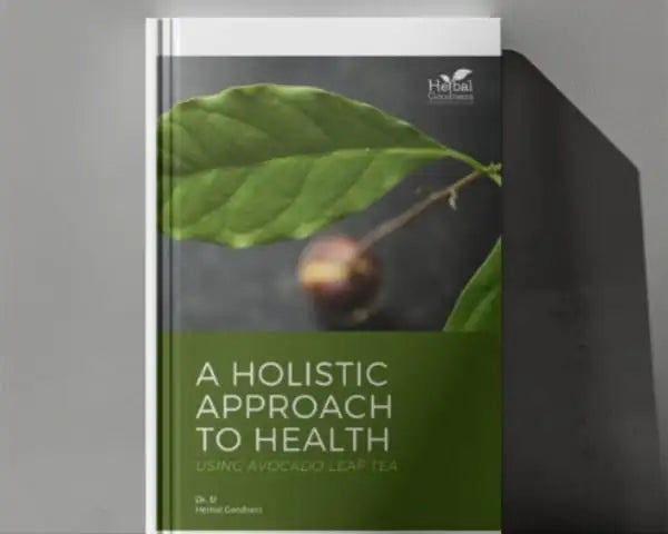 A Holistic Approach to Health Using Avocado Leaf Tea | Free eBook