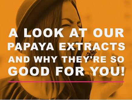 A Look at Our Papaya Leaf Extracts & Why They’re So Good For You! | Herbal Goodness
