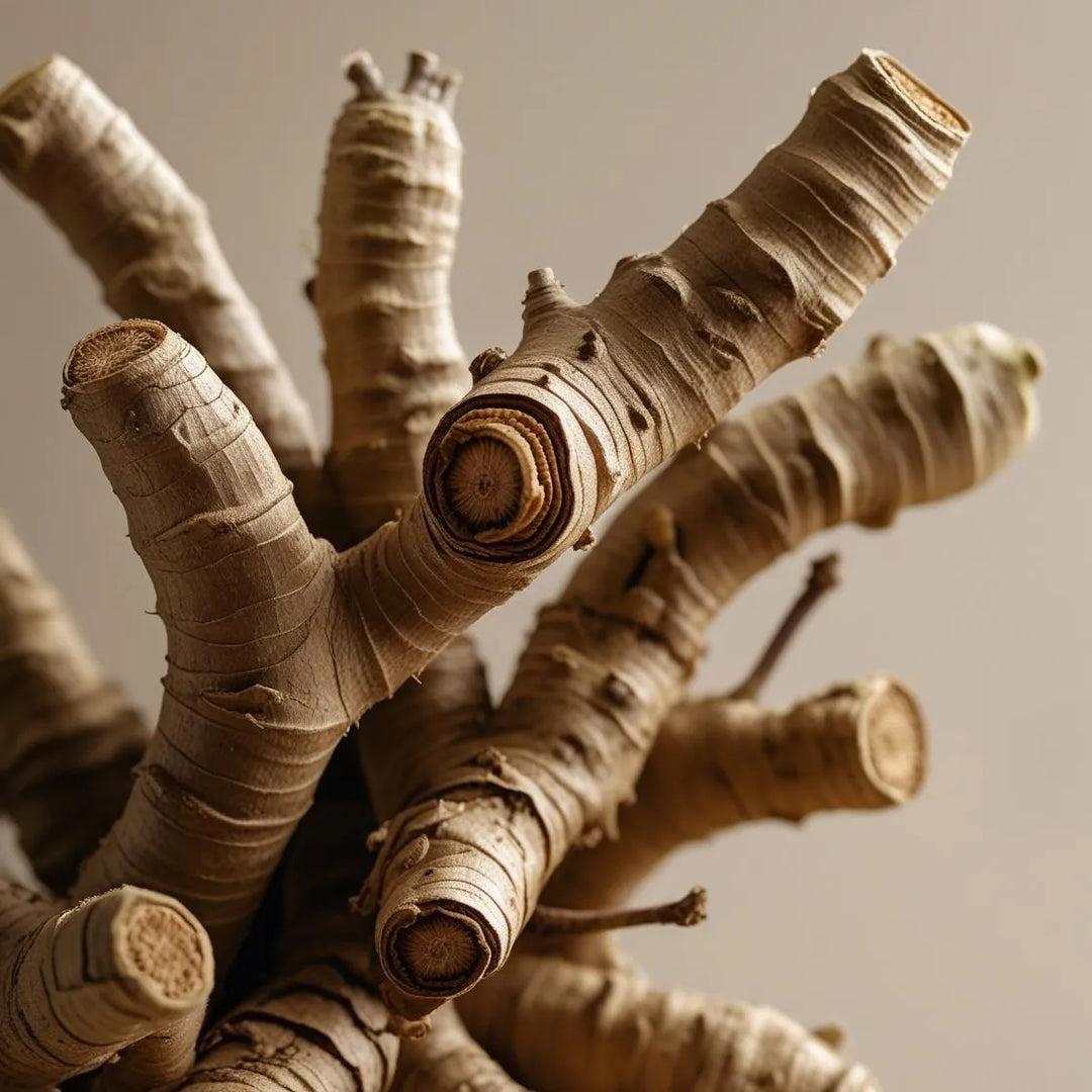 Ashwagandha: Benefits, Uses, Side Effects & More