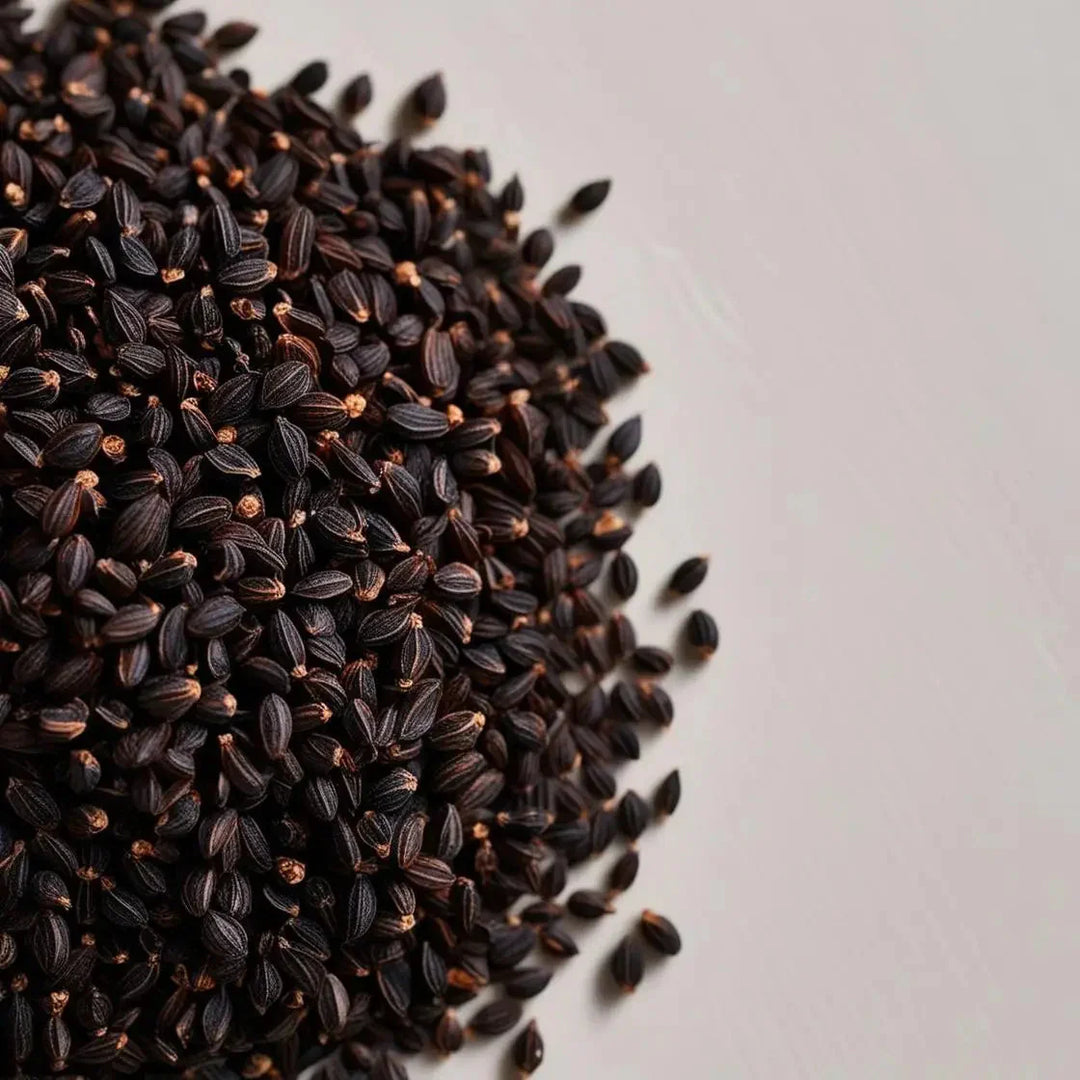 Black Cumin Seed: Oil, Extract and Benefits | Herbal Goodness