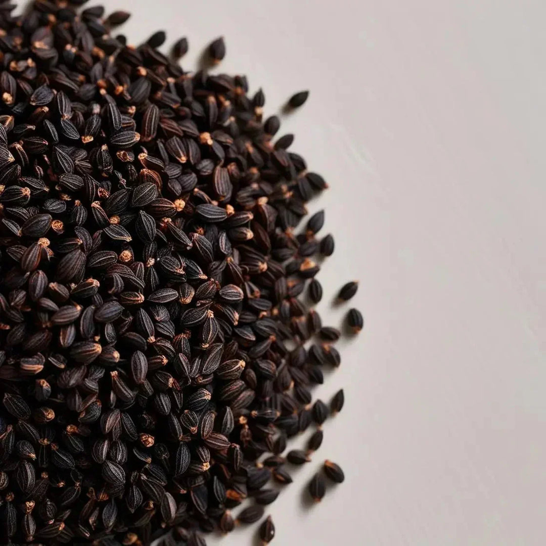 Black Cumin Seed: Oil, Extract and Benefits | Herbal Goodness