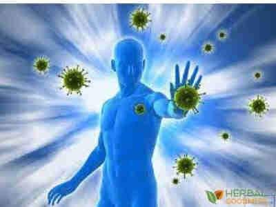 Boost Your Immunity Naturally With These Tips | Herbal Goodness