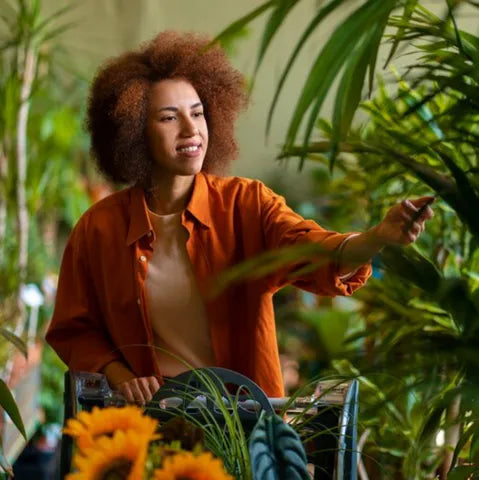 Combining Lifestyle Choices and Herbal Traditions for Balanced Living