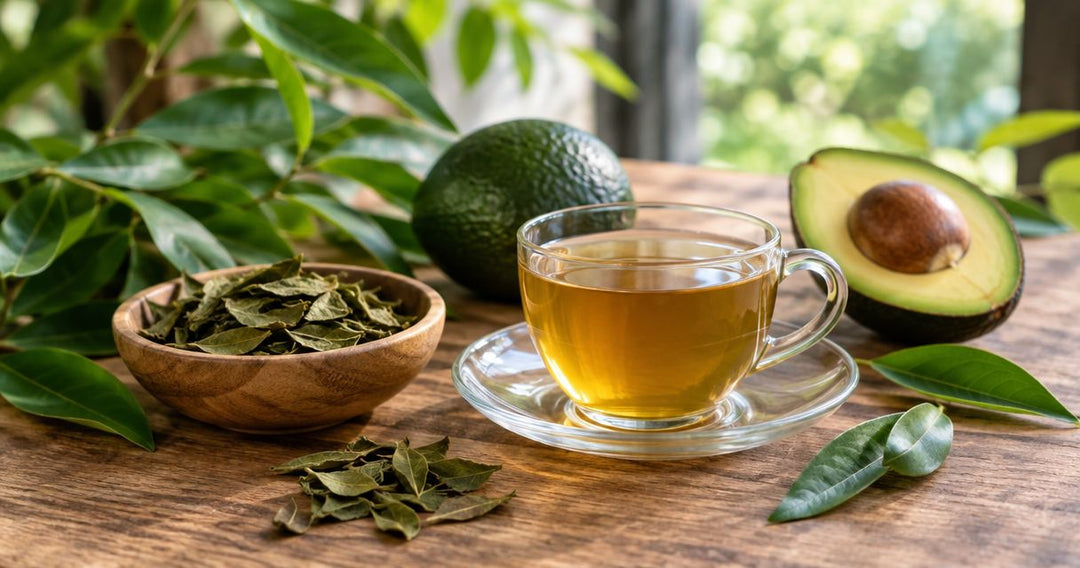 Best avocado leaf tea in 2026