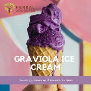 Graviola Ice Cream | Herbal Goodness