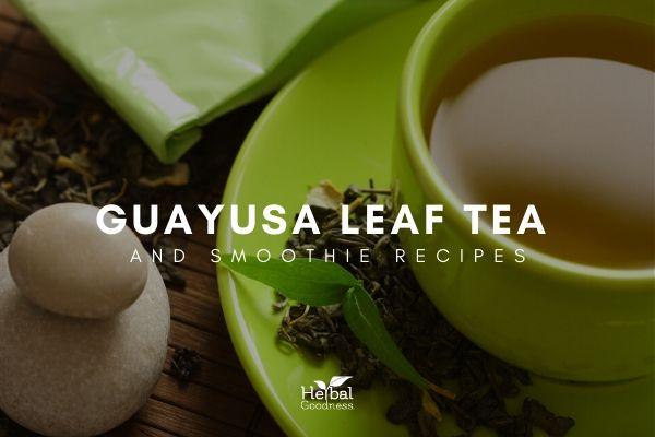 Guayusa Leaf Tea and Smoothie Recipes | Herbal Goodness