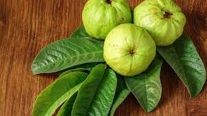 Health Benefits Of Guava Leaves | Herbal Goodness