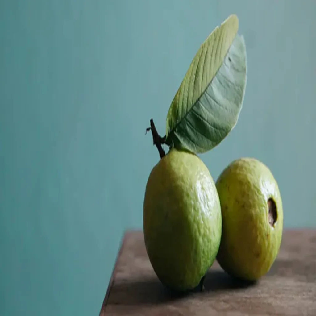 How to Use Guava Leaf to Enjoy its Maximum Health Benefits? | Herbal Goodness