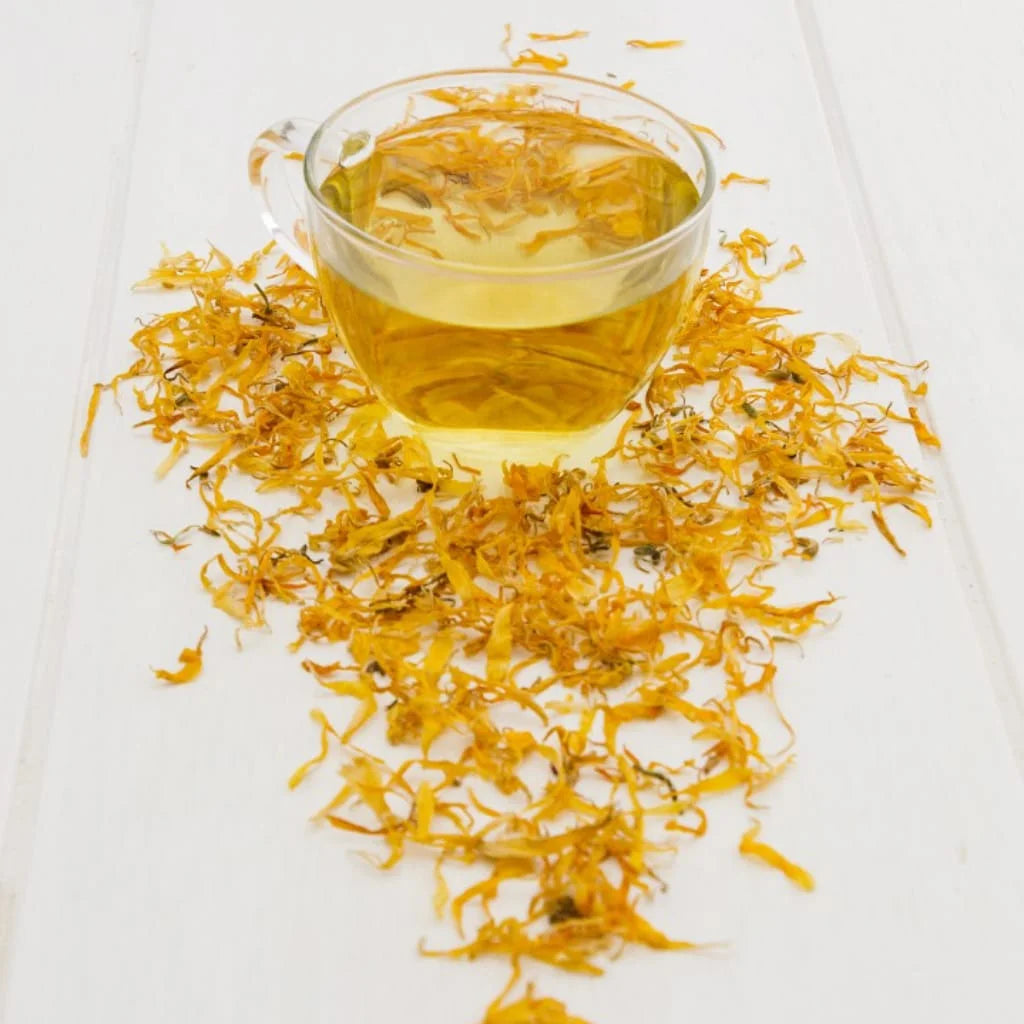 Mullein Leaf: Benefits, Uses, and How It Supports Lung Health