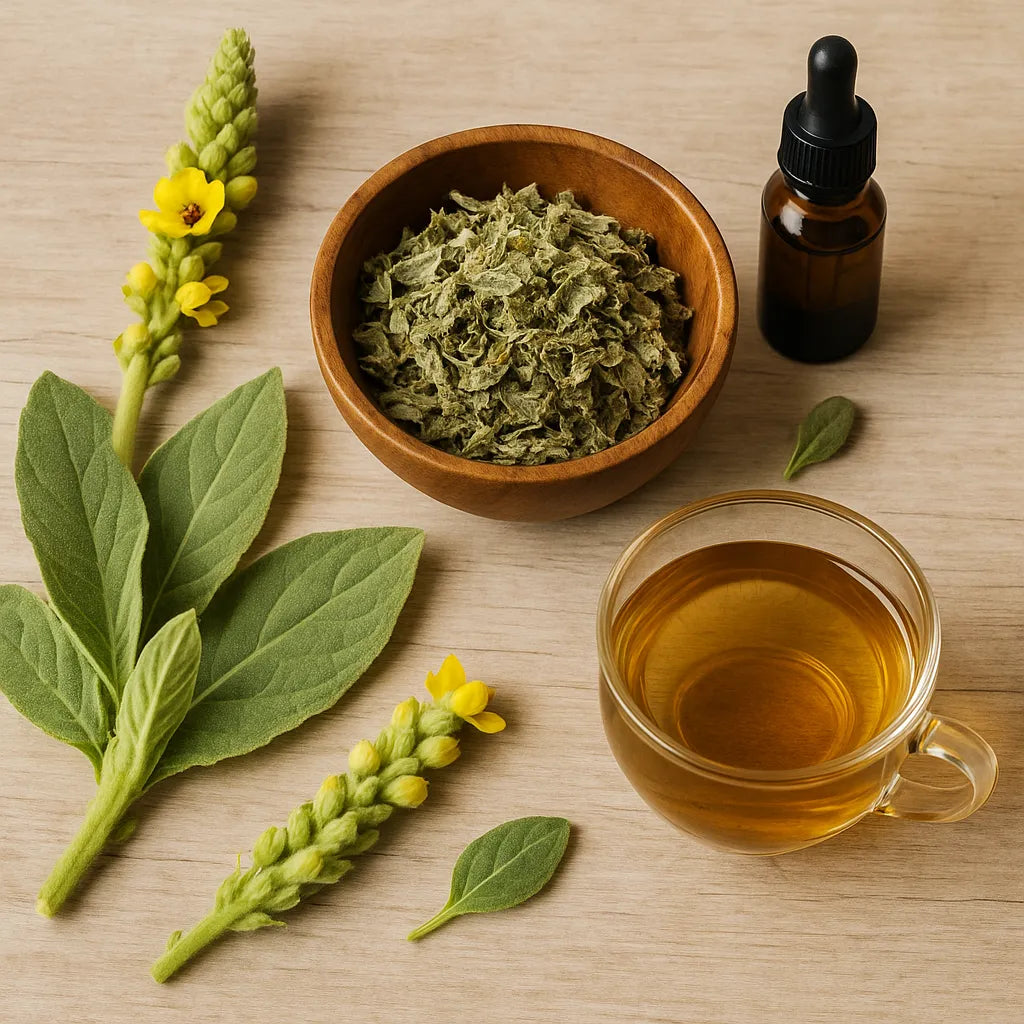 Mullein Leaf: Benefits, Uses, and How to Add It to Your Wellness Routine