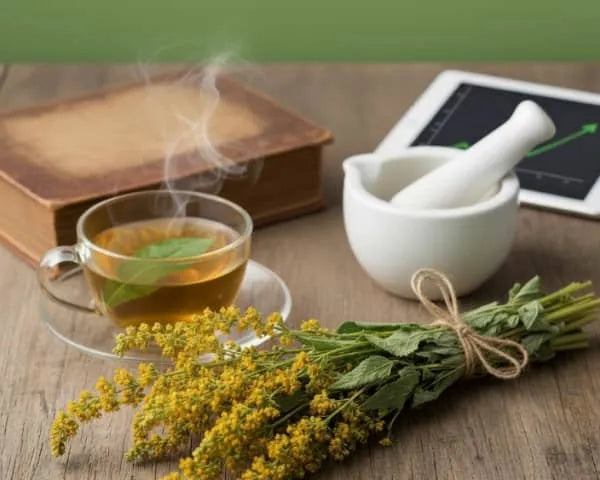 Mullein Leaf Benefits: The Ancient Herb Making a Modern Comeback