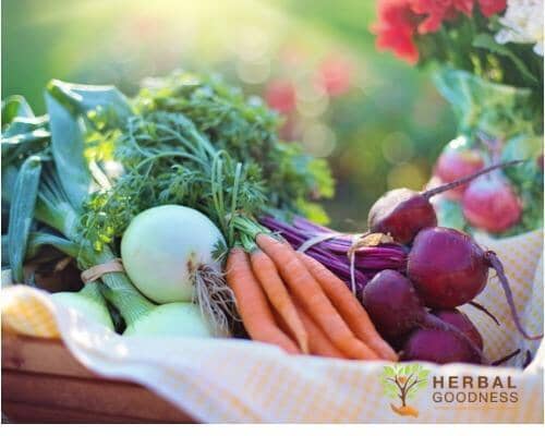 Nutrients Every Vegetarian Needs | Herbal Goodness