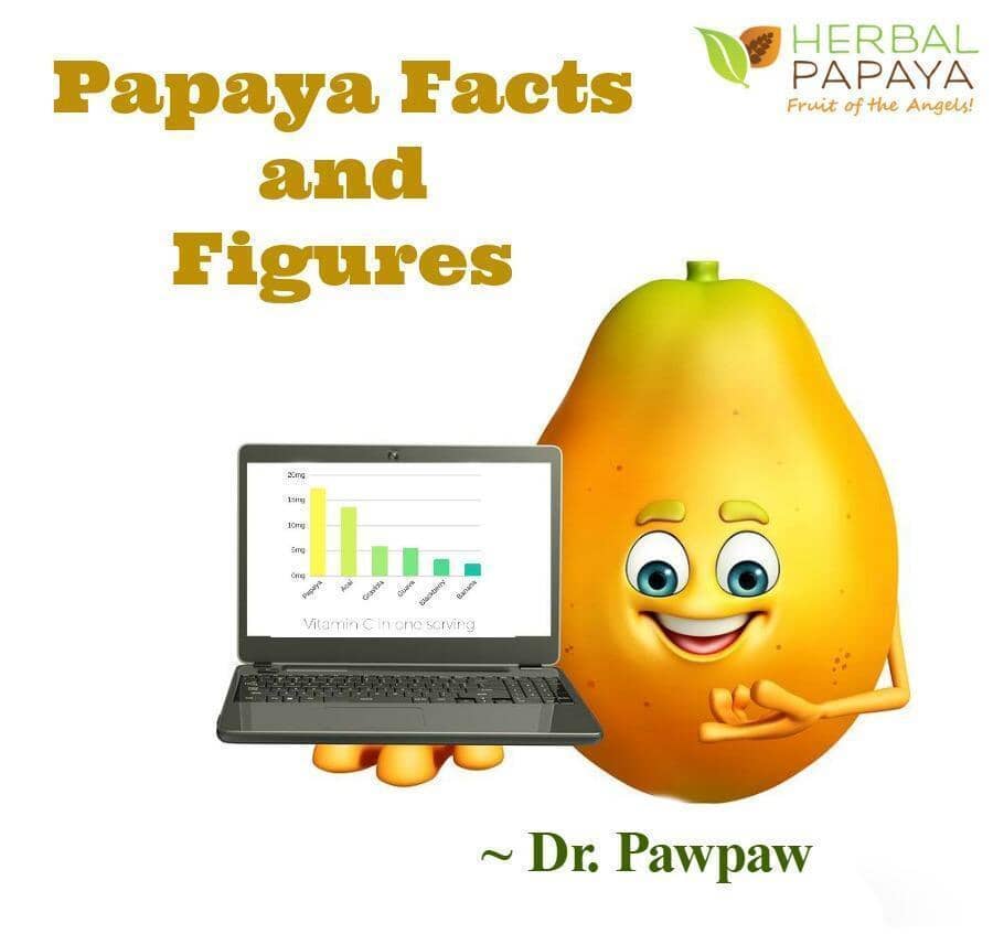 Papaya Facts and Figures | Herbal Goodness