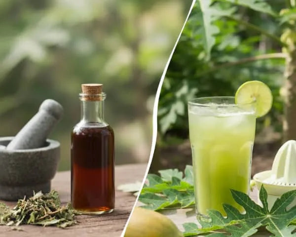 Papaya leaf extract in glass bottle for platelet levels and digestive health