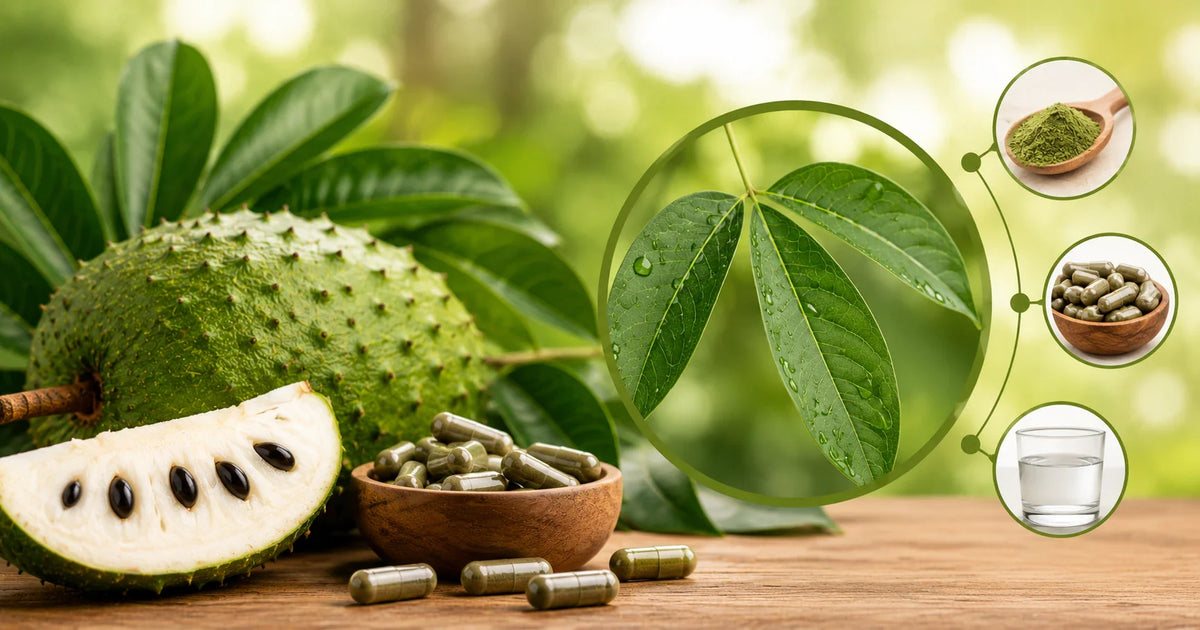 Soursop Bitters Capsules 1000mg: Price, Dosage & Buying FAQs