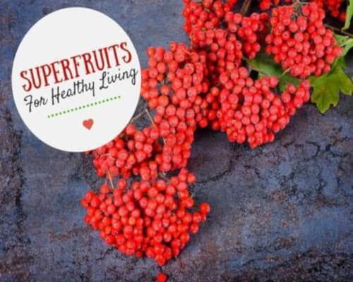 Superfruits for Healthy Living | Herbal Goodness