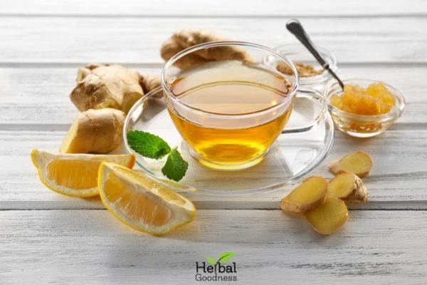 Tasty Echinacea Tea Recipes | Herbal Goodness