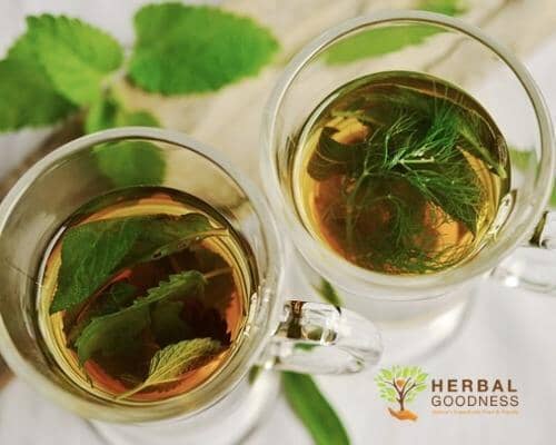 Tea Fact of The Day | Herbal Goodness