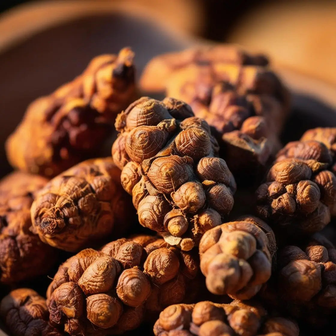 The Health Benefits of Maca Root: Nature’s Superfood for Energy, Hormonal Balance, and Vitality