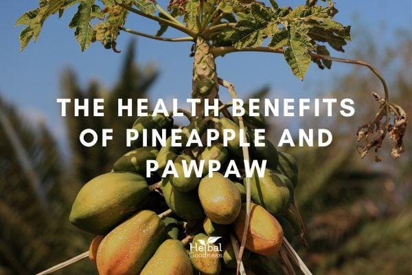 The Health Benefits of Pineapple and Pawpaw | Herbal Goodness