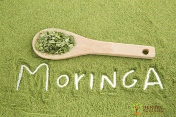 The Magic of Moringa Leaves: Benefits and Uses | Herbal Goodness