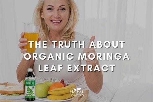 The Truth About Organic Moringa Leaf Extract | Herbal Goodness