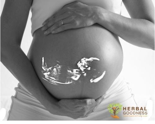 Top 5 Tips to Stay Healthy In Pregnancy  | Herbal Goodness