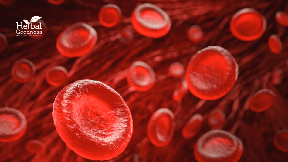 What is Natural Platelet Count? | Herbal Goodness