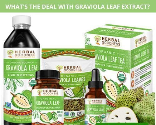 What's the Deal with Graviola Leaf Extract? | Herbal Goodness