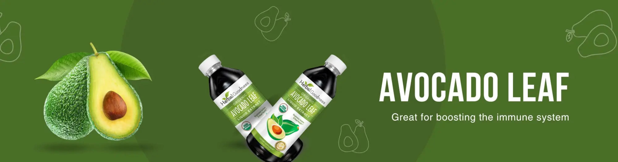 Avocado