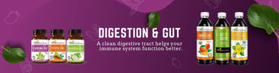 Digestion & Gut