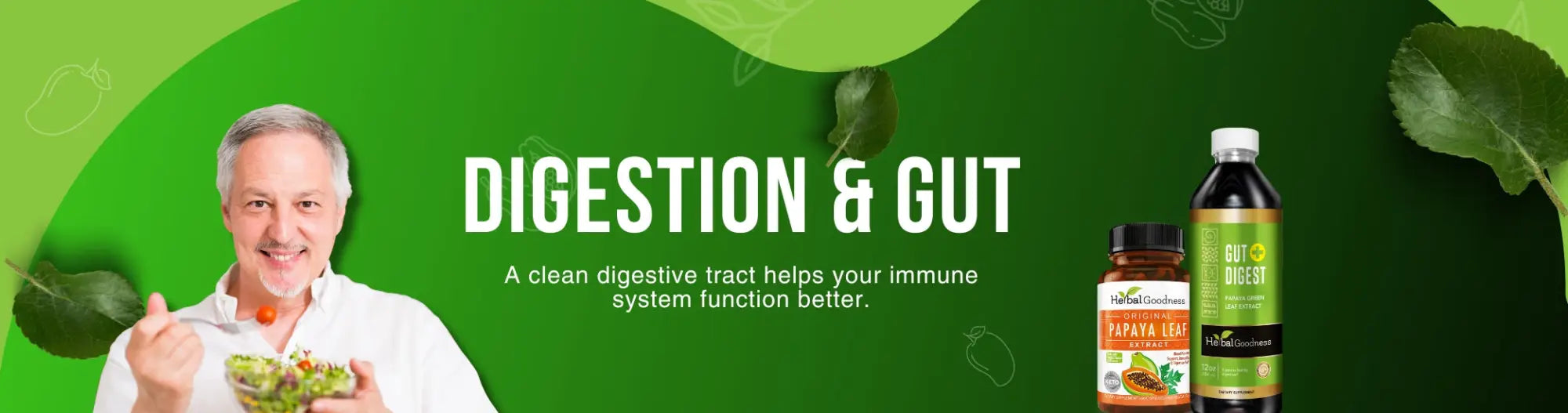 Digestion & Gut