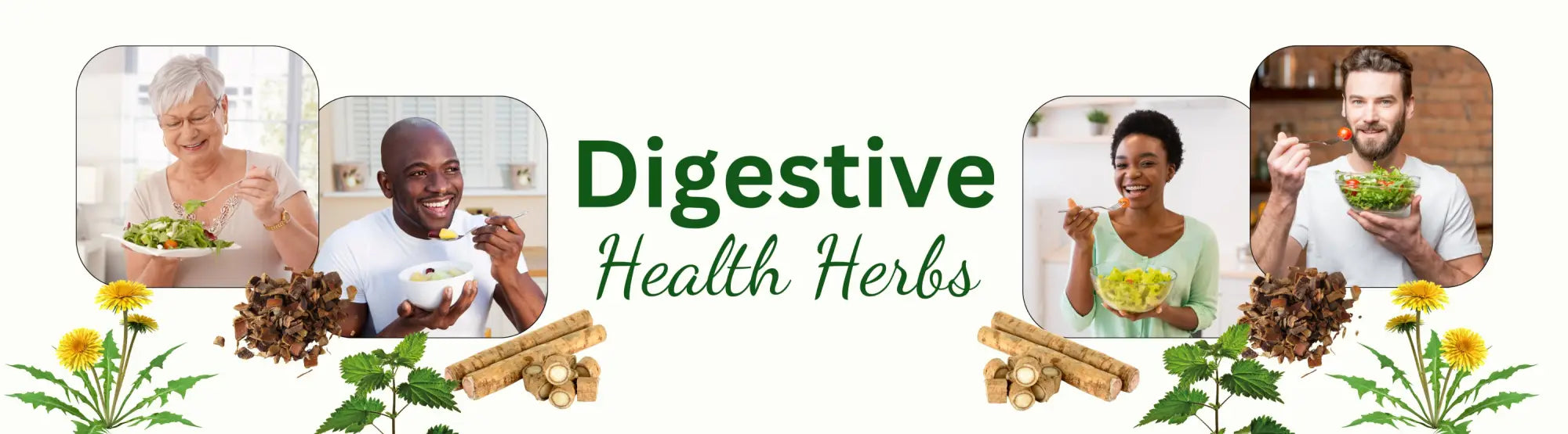 Informational banner showcasing diverse people and digestive health herbs for wellness.