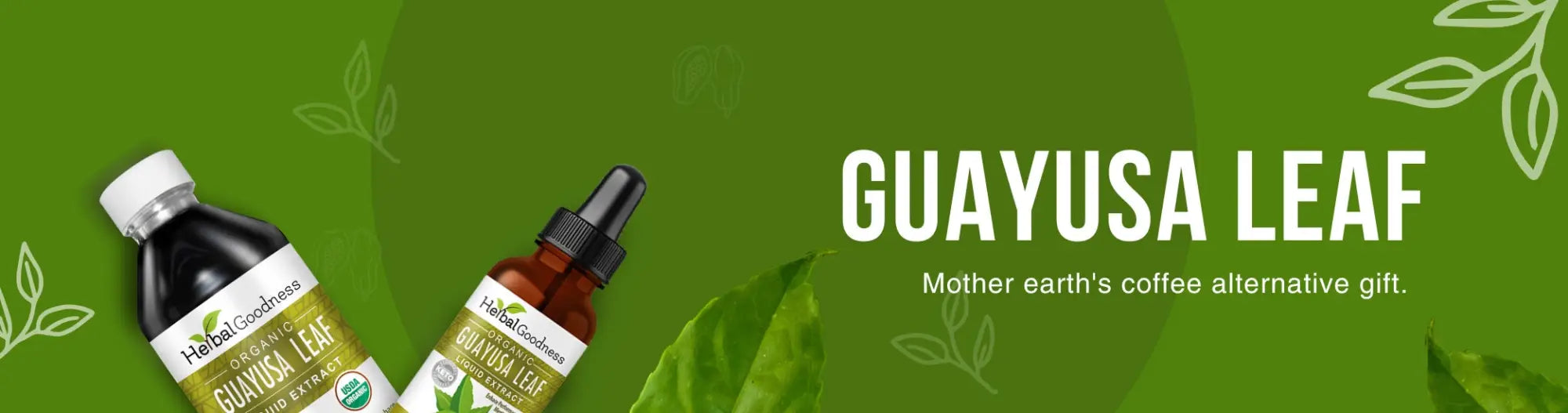 Guayusa