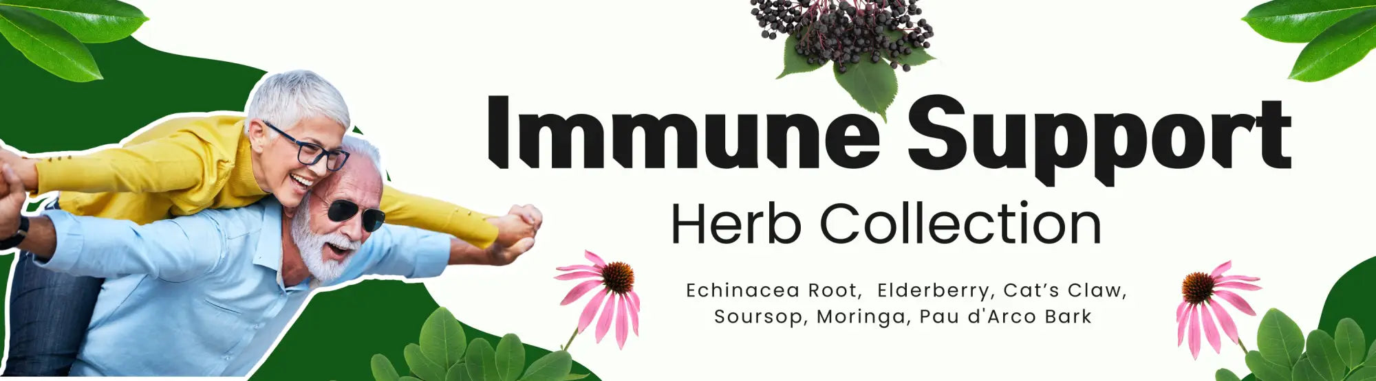 Promotional banner for Immune Support Herbs collection featuring Echinacea and others.