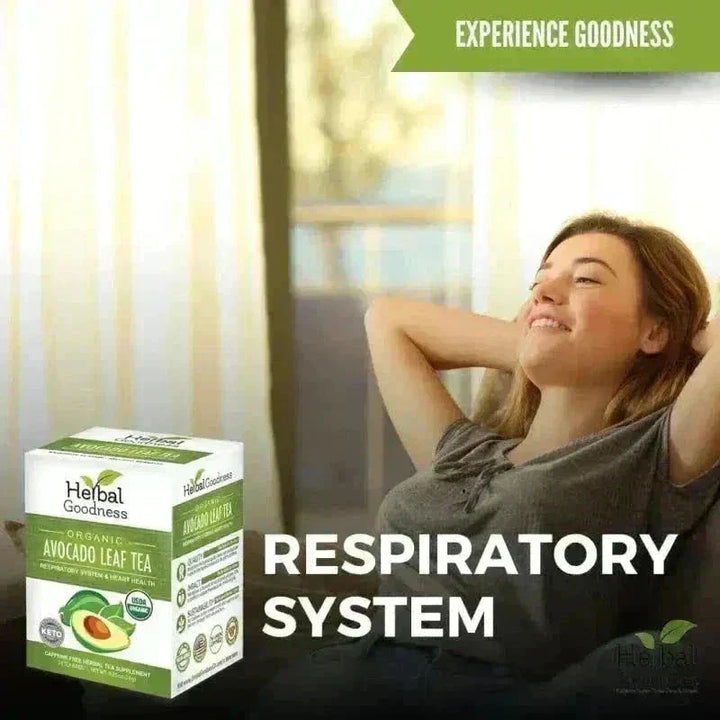 Avocado Leaf Extract - Liquid Extract Liquid Extract Herbal Goodness 