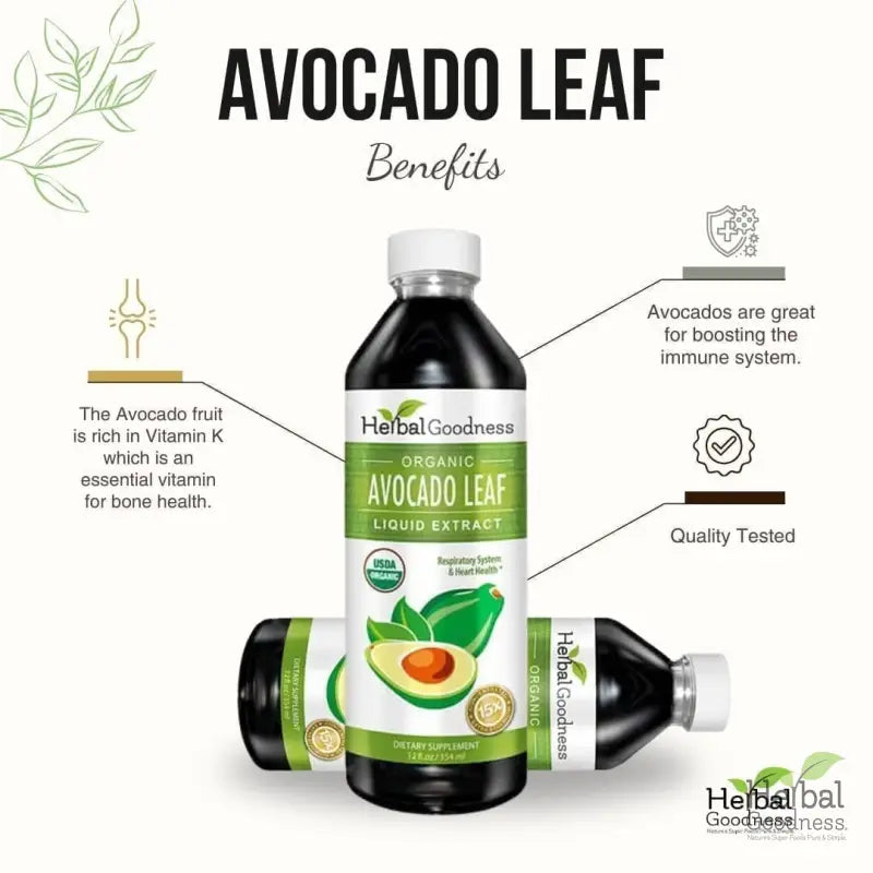 Avocado Leaf Extract - Organic - Liquid - Blood Sugar Support - Herbal Goodness Liquid Extract Herbal Goodness 