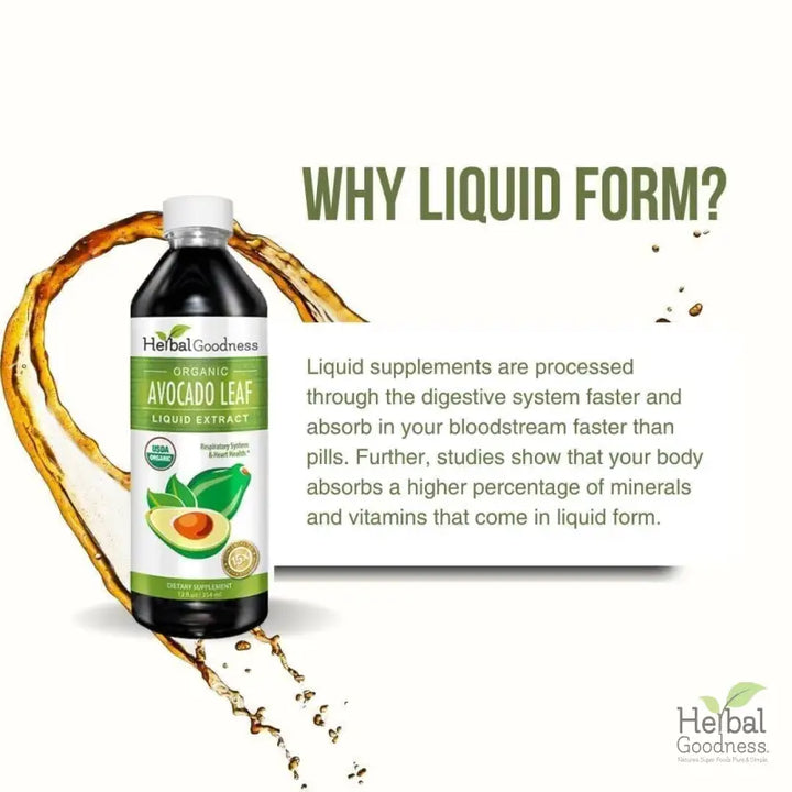 Avocado Leaf Extract - Organic - Liquid - Blood Sugar Support - Herbal Goodness Liquid Extract Herbal Goodness 