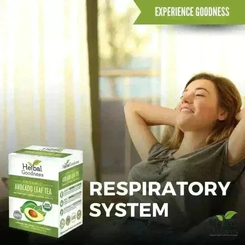 Avocado Leaf Tea - Organic 24/2g Tea bags - Immunity & Heart Health Tea & Infusions Herbal Goodness 
