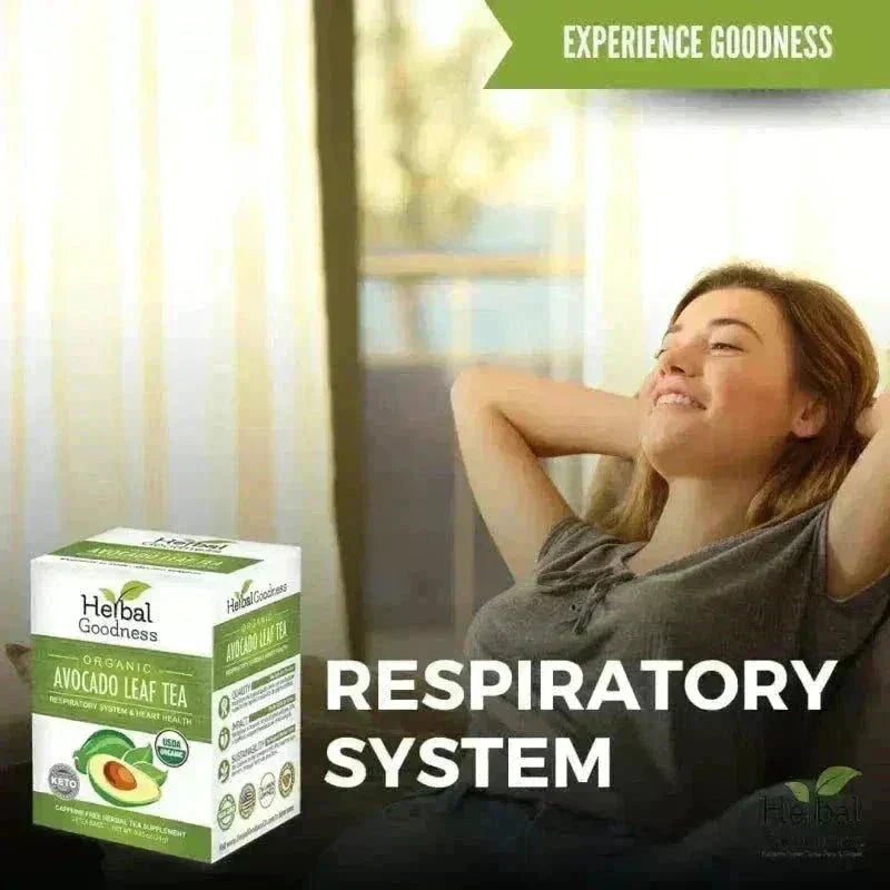 Avocado Leaf Tea - Organic 24/2g - Respiratory, Heart & Metabolism Support Tea & Infusions Herbal Goodness 