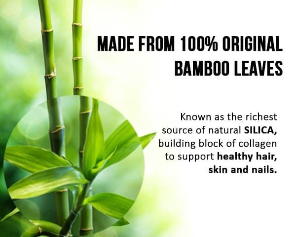 Bamboo Leaf Extract- Liquid - Bone, Hair, Skin & Nails - Herbal Goodness Liquid Extract Herbal Goodness 