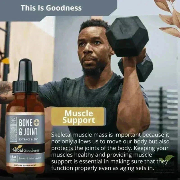 Bone and Joint - 1oz 15X Liquid Extract - Bone & Joint Aid Liquid Extract Herbal Goodness 