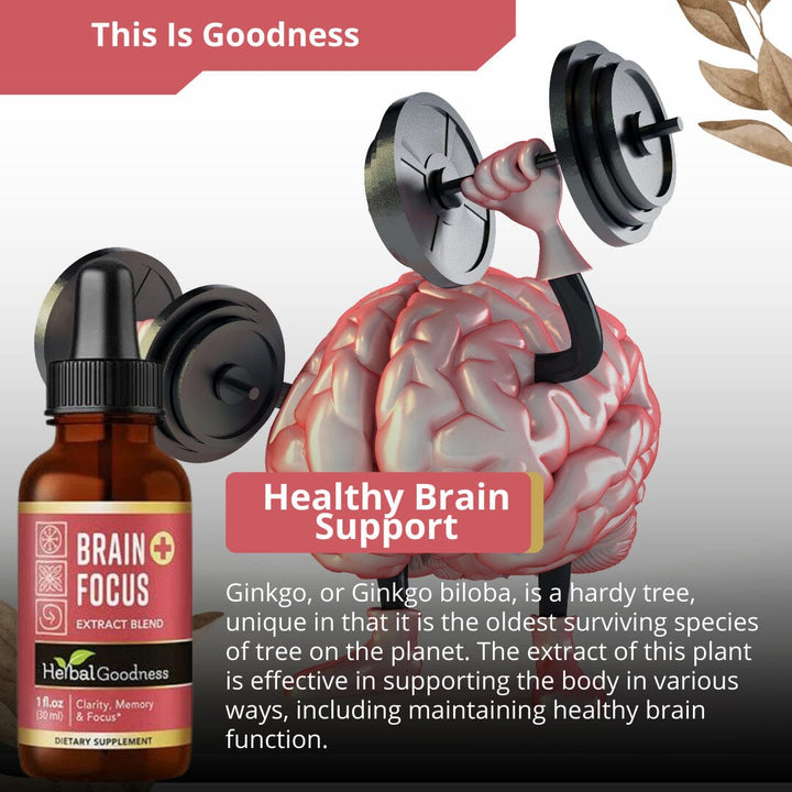 Brain and Focus Liquid Extract - Nootropic Brain Supplement, Brain Health - Herbal Goodness Liquid Extract Herbal Goodness 