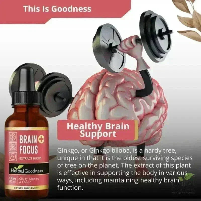Brain and Focus Liquid Extract - Nootropic Brain Supplement - Herbal Goodness Liquid Extract Herbal Goodness 
